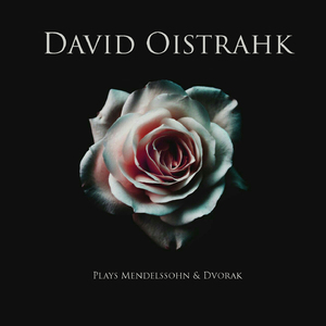 Violin Concerto in E Minor, Op. 64:I. Allegro Molto Appassionato