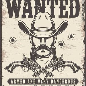 赏金猎人freestyle