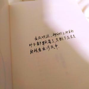 落在生命里的光（钢琴）