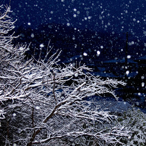 粉雪が舞う夜は (Instrumental)