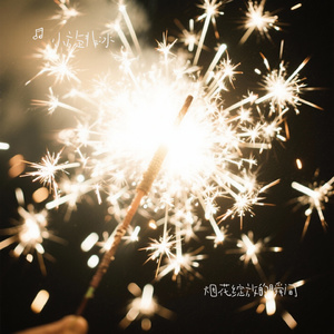 烟花绽放的瞬间