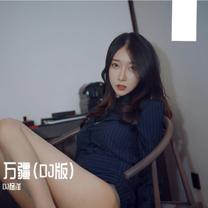 万疆（DJ版）