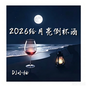 2026给月亮倒杯酒(DJ版)