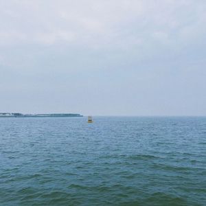 海鸥（cover：逃跑计划）