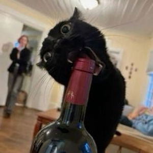 Mrs. Officer (slowed)