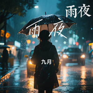 雨夜