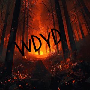WDYD?