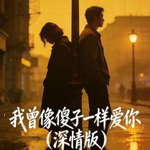 我曾像傻子一样爱你