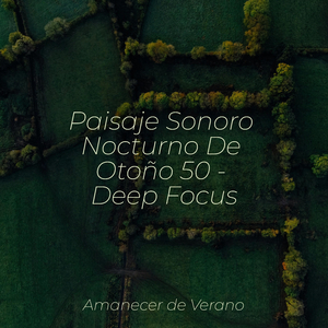 La Canción de Cuna Luminosa de Medianoche