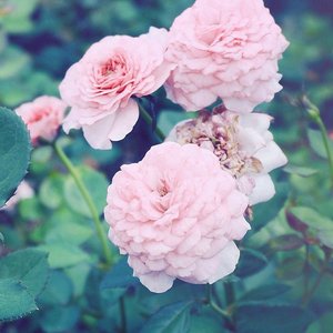 我来人间一趟（翻唱版）