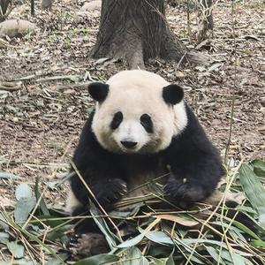 家毅再出发（录音室版）.wav