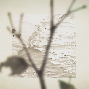 昏鸦（人声本家）