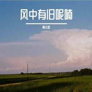 花影绕着时光走