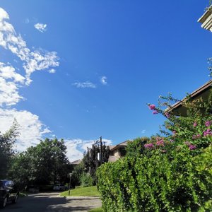 爱意，荡漾在天际