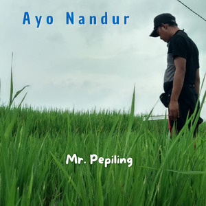 AYO NANDUR
