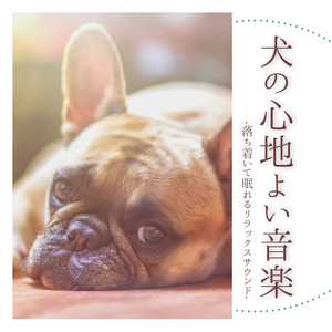 子犬音楽療法心癒す音楽