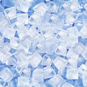 重现的玫瑰（cover）