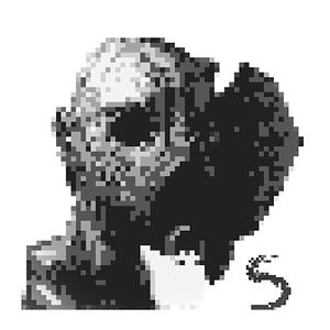 ROASTED WHOLE LIZARD