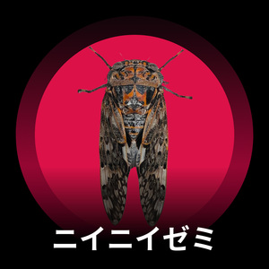 ニイニイゼミと夏の草原