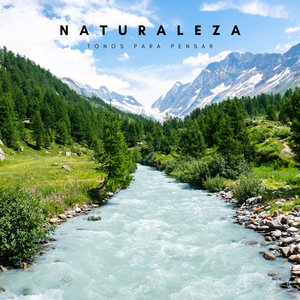 Experiencia De Chakras