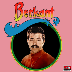 Sen Sevmeden Sevildin