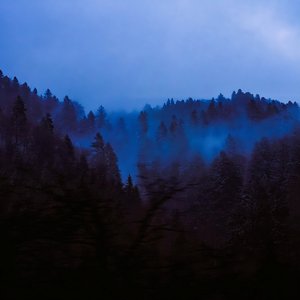 Echoes Through the Valley