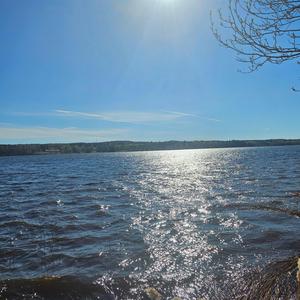 Puolikuollutta