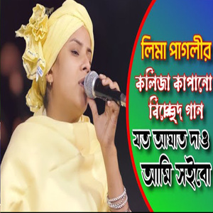 আঘাতে আঘাতে হয়েছি পাথর