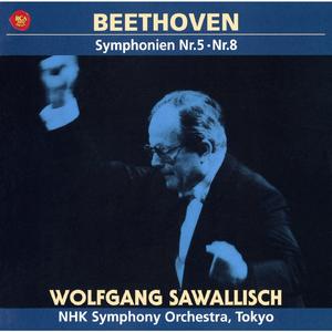 Symphony No. 5 in C Minor, Op. 67:III. Allegro
