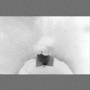 Bankroll (feat. Stoby)