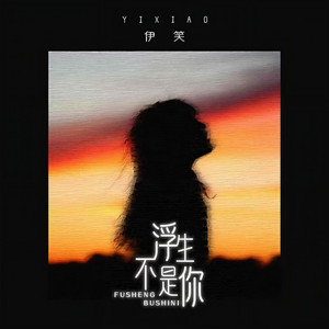 浮生不是你 (DJ默涵版)