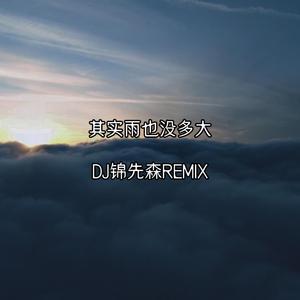 其实雨也没多大（DJ锦先森 Remix）