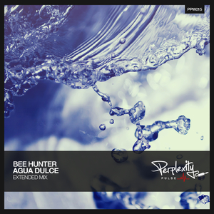 Agua Dulce (Extended Mix)