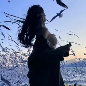 烧不死的鸟是凤凰
