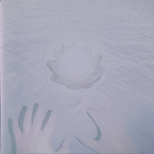 Observations trough the halocline of the world, I