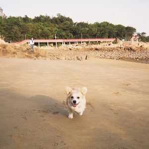 关于郑州的记忆.mp3