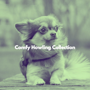 High-class Backdrops for Classic Pups