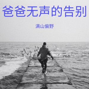 爸爸无声的告别