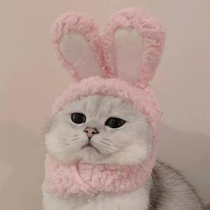 当你老了（翻自 赵照）