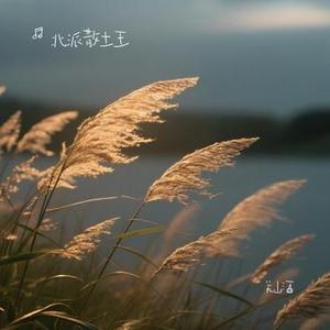 从此封心不再爱