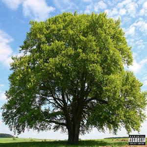 TreeTops (feat. Brysen1134 & Angel)
