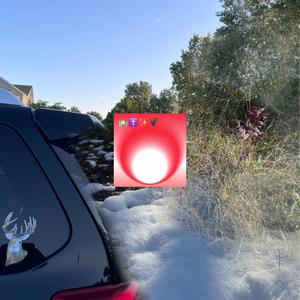 Mina Harker's Journal