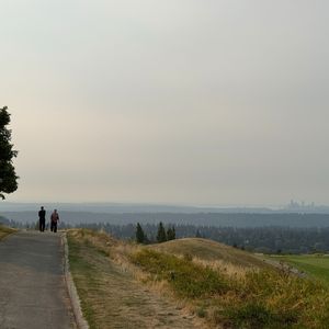 归途与远方 (Return and Distance)