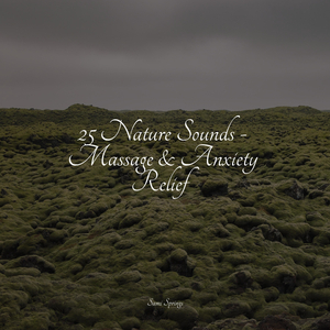 Wind, Rustling, Trees, Vegetation