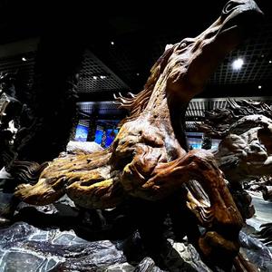 SARAH（浴血黑帮）