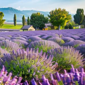 跨越挫折邂逅黎明曙光