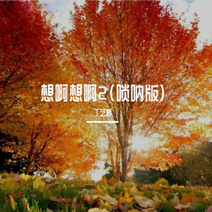 想啊想啊2(唢呐版)