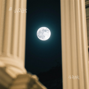 夜色月光