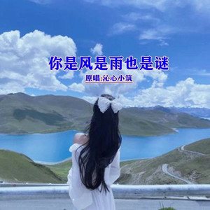 你是风是雨也是谜