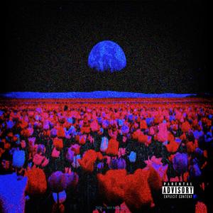 F.O.A.F.M. (feat. Cxrd & Havoc)